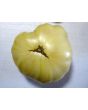 Tomato 'White Tomesol'