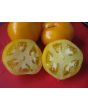 Tomato 'Lillian's Yellow Heirloom'