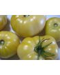 Tomato 'White Tomesol'