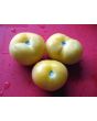 Tomato 'Garden Peach'