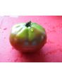 Tomato 'Japanese Black Trifele'