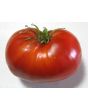 Tomato 'Donskoi' Seeds