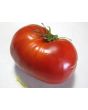 Tomato 'Donskoi' Seeds