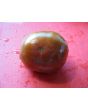 Tomato 'Japanese Black Trifele'