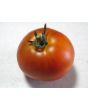 Tomato 'Mule Team' Seeds