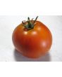 Tomato 'Mule Team' Seeds