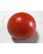 Tomato 'Homestead'