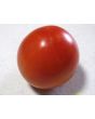 Tomato 'Homestead'