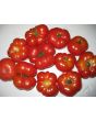 Tomato 'Ceylon' Seeds (Certified Organic)