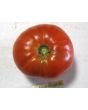 Tomato 'Andrew Rahart's Jumbo Red'
