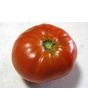 Tomato 'Andrew Rahart's Jumbo Red'