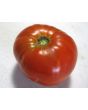 Tomato 'Andrew Rahart's Jumbo Red'