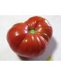 Tomato 'Lithuanian'