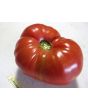 Tomato 'Lithuanian'