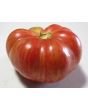 Tomato 'Vintage Wine'