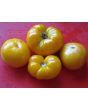 Tomato 'Azoychka' Seeds (Certified Organic)