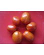 Tomato 'Heinz Super Roma' 