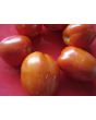 Tomato 'Heinz Super Roma' 