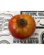 Tomato 'Nepal' Seeds (Certified Organic)