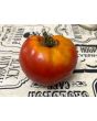 Tomato 'Nepal' Seeds (Certified Organic)