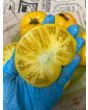 Tomato 'Dagma's Perfection' Seeds (Certified Organic)