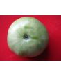 Tomato 'Green Giant' Seeds (Certified Organic)