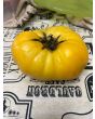 Tomato 'Project Grow Gold' Seeds (Certified Organic)