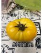 Tomato 'Project Grow Gold' Seeds (Certified Organic)