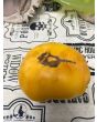 Tomato 'Project Grow Gold' Seeds (Certified Organic)