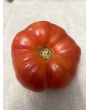 Tomato 'Sunset Puff' Seeds (Certified Organic)