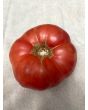 Tomato 'Sunset Puff' Seeds (Certified Organic)