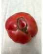Tomato 'Sunset Puff' Seeds (Certified Organic)