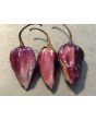 Hot Pepper 'Purple Gum Berry MAMP' Seeds (Certified Organic)