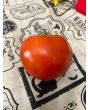 Tomato 'Debut F2' Seeds (Certified Organic)