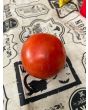 Tomato 'Debut F2' Seeds (Certified Organic)