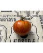 Tomato 'Aviuri' Seeds (Certified Organic)