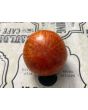 Tomato 'Aviuri' Seeds (Certified Organic)