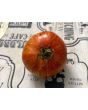 Tomato 'Aviuri' Seeds (Certified Organic)