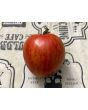 Tomato 'Aviuri' Seeds (Certified Organic)