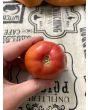 Tomato 'Don Juan' Seeds (Certified Organic)