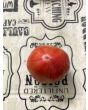 Tomato 'Don Juan' Seeds (Certified Organic)