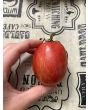 Tomato 'Don Juan' Seeds (Certified Organic)