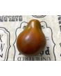 Tomato 'Bedouin' Seeds (Certified Organic)
