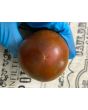 Tomato 'Bedouin' Seeds (Certified Organic)