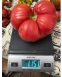 Tomato 'Russian Rose' Seeds (Certified Organic)