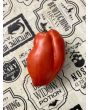 Tomato 'Federle' Seeds (Certified Organic)