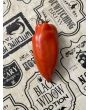 Tomato 'Federle' Seeds (Certified Organic)