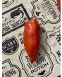 Tomato 'Federle' Seeds (Certified Organic)