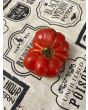 Tomato 'Mandarina Red' Seeds (Certified Organic)