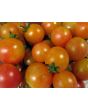 Tomato 'Isis Candy'